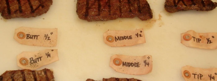 Beef Samples